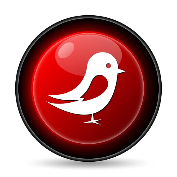 Икона Птицы Кнопка Интернет Белом Фоне — стоковое фото