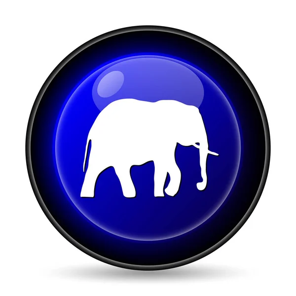 Elefánt Ikonra Internet Gomb Fehér Háttér — Stock Fotó