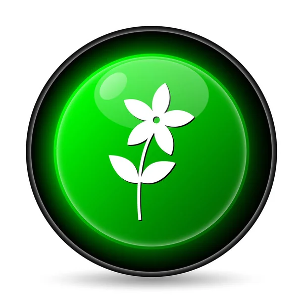 Flower  icon — Stock Photo, Image