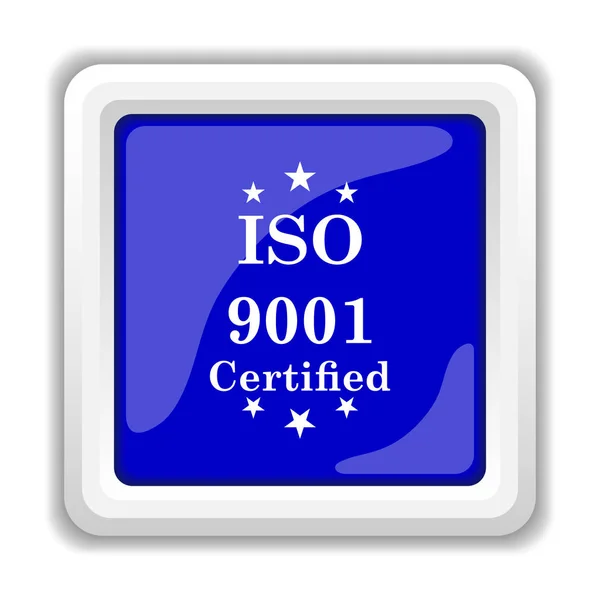 Iso9001 白色背景上的互联网按钮 — 图库照片