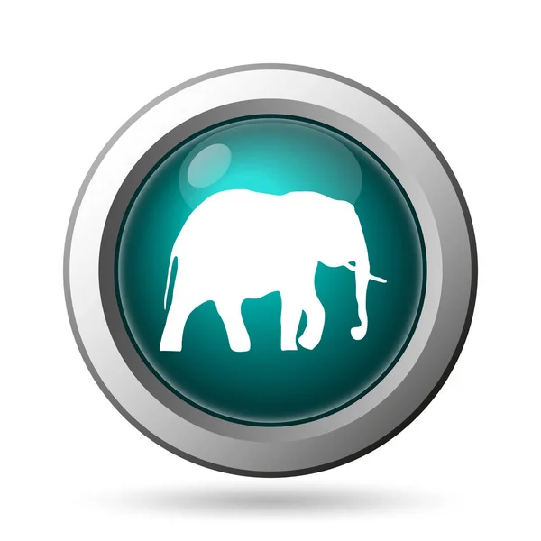 Elefánt ikon — Stock Fotó