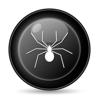 örümcek simgesi