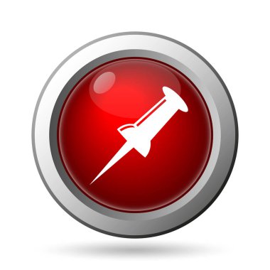 PIN simgesi. Beyaz arka plan üzerinde Internet düğmesi