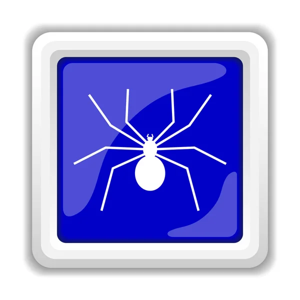 蜘蛛图标 — 图库照片
