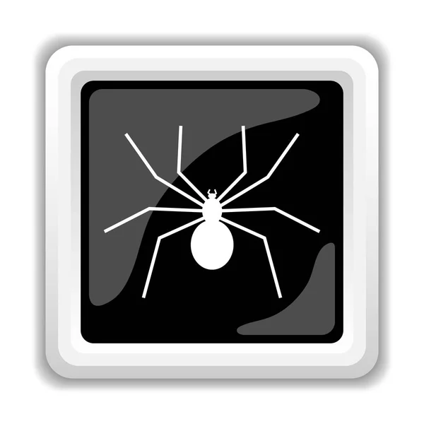 Örümcek simgesi — Stok fotoğraf