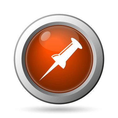 PIN simgesi. Beyaz arka plan üzerinde Internet düğmesi