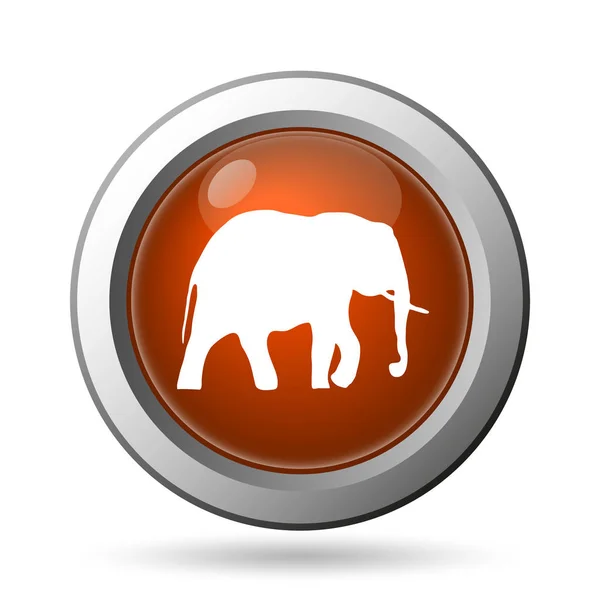 Icona elefante — Foto Stock