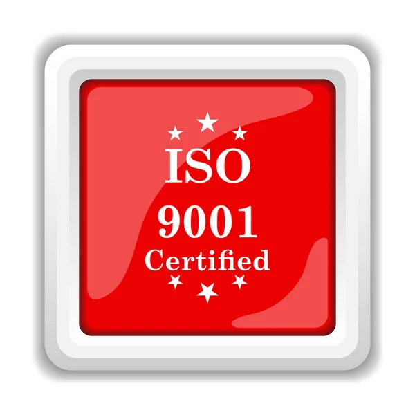 Icona Iso9001 Pulsante Internet Sfondo Bianco — Foto Stock