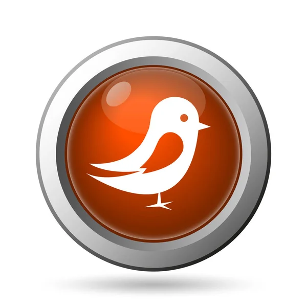 Vogel pictogram — Stockfoto