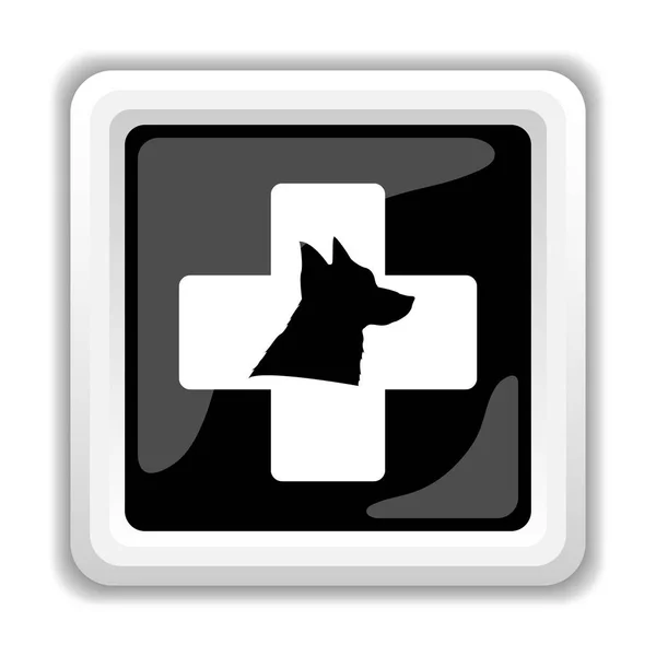Ветеринарная икона — стоковое фото