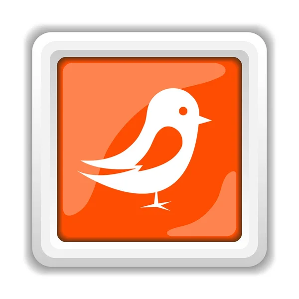Иконка Птицы Белом Фоне Концепция Мобильных Приложений — стоковое фото