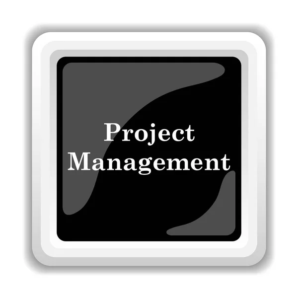 프로젝트 관리 아이콘 — 스톡 사진