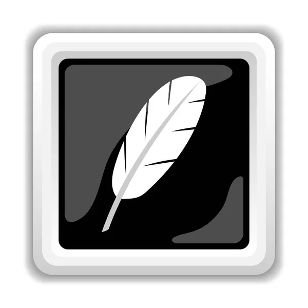 Feather icon — Stock Photo, Image