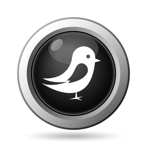 Bird icon — Stock Photo, Image