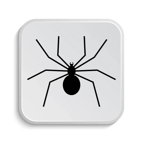 Spider icon — Stock Photo, Image