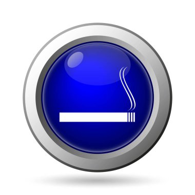 Renk simgesi. Beyaz arka plan üzerinde Internet düğmesi