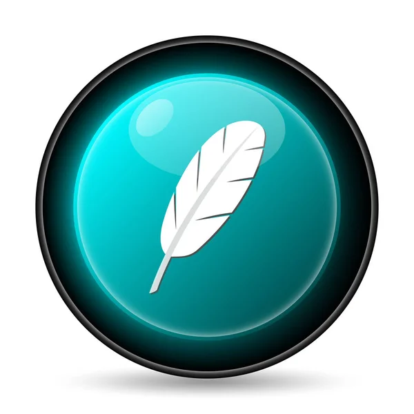 Feather icon — Stock Photo, Image