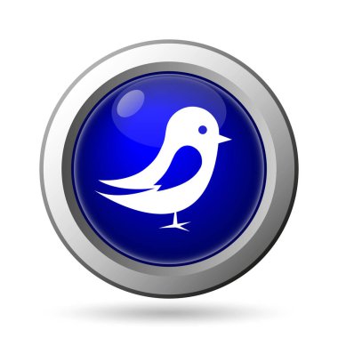 Renk simgesi. Beyaz arka plan üzerinde Internet düğmesi