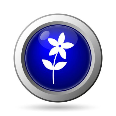 Renk simgesi. Beyaz arka plan üzerinde Internet düğmesi