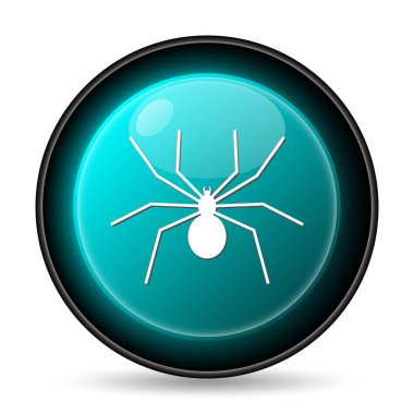 örümcek simgesi