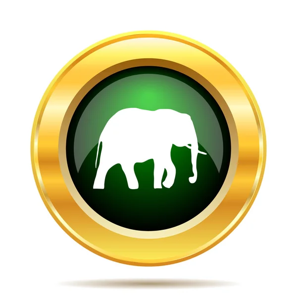 Icona elefante — Foto Stock