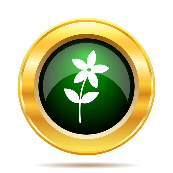 Flower  icon — Stock Photo, Image