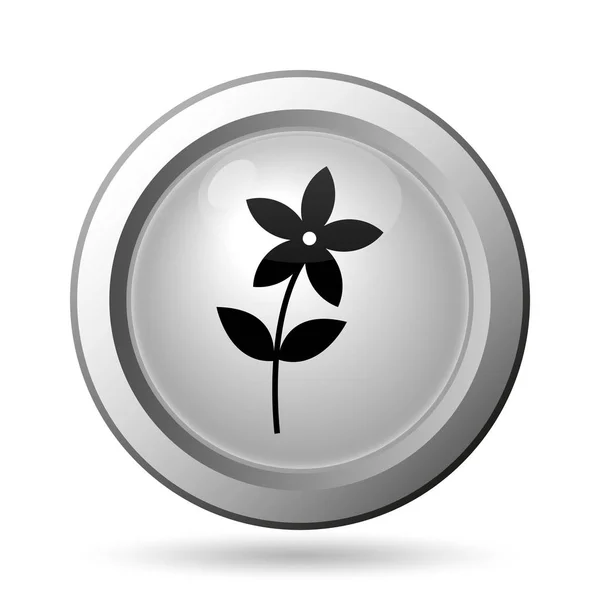 Flower  icon — Stock Photo, Image