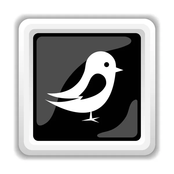 Vogel pictogram — Stockfoto