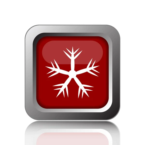 Snowflake Icon Internet Button White Backgroun — Stock Photo, Image