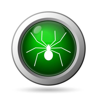 örümcek simgesi
