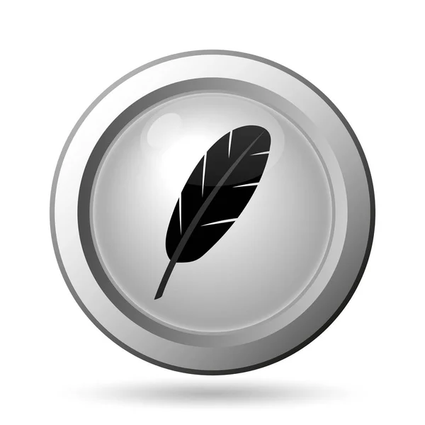 Feather icon — Stock Photo, Image