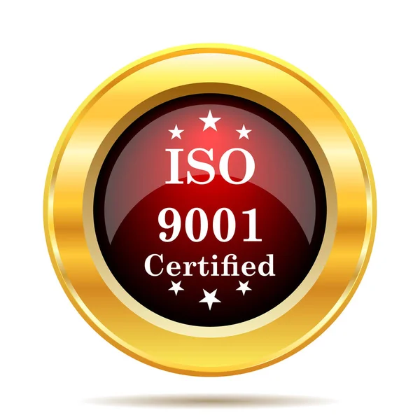 Iso9001 Pictogram Internet Knop Witte Achtergrond — Stockfoto