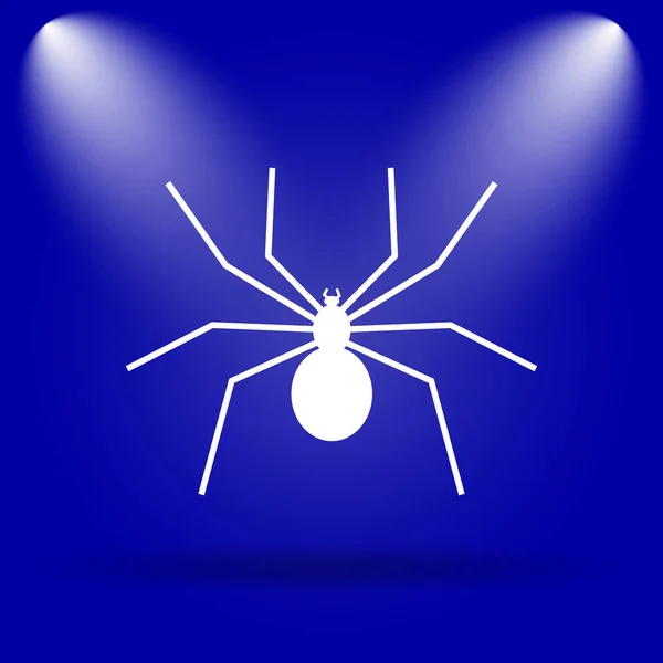 거미 아이콘 — 스톡 사진