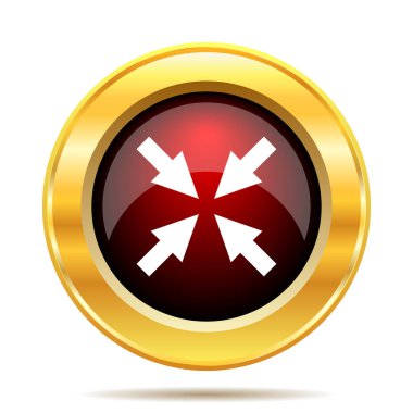 Çıkış tam ekran simgesini. Beyaz arka plan üzerinde Internet düğmesi