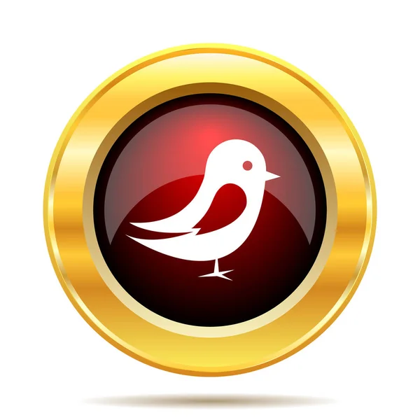 Ikona ptáka — Stock fotografie