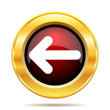 Sol ok simgesi. Beyaz arka plan üzerinde Internet düğmesi