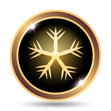 Kar tanesi simgesi. Beyaz arka plan üzerinde Internet düğmesi