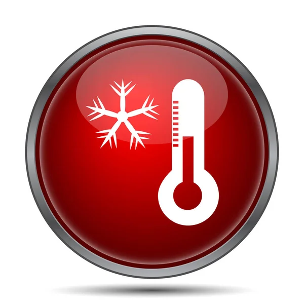 Copo de nieve con el icono del termómetro — Foto de Stock
