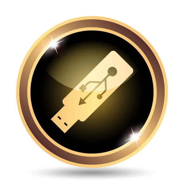 Usb flash drive icon — Stock Photo, Image