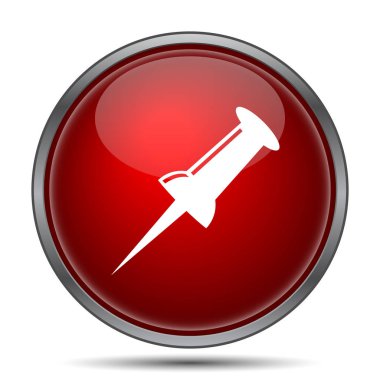 PIN simgesi. Beyaz arka plan üzerinde Internet düğmesi