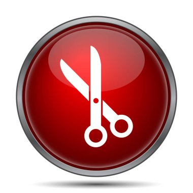 Simge kesti. Beyaz arka plan üzerinde Internet düğmesi