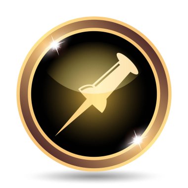 PIN simgesi. Beyaz arka plan üzerinde Internet düğmesi