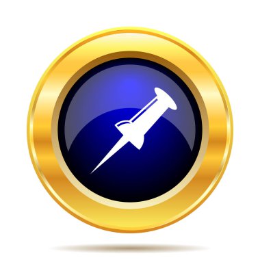 PIN simgesi. Beyaz arka plan üzerinde Internet düğmesi