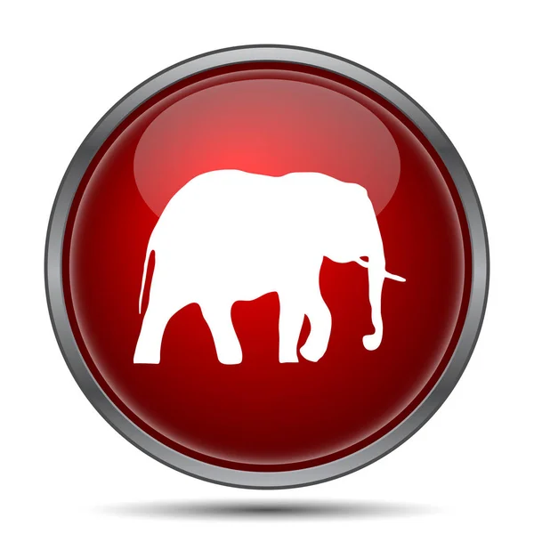 Icono Elefante Botón Internet Sobre Fondo Blanco — Foto de Stock