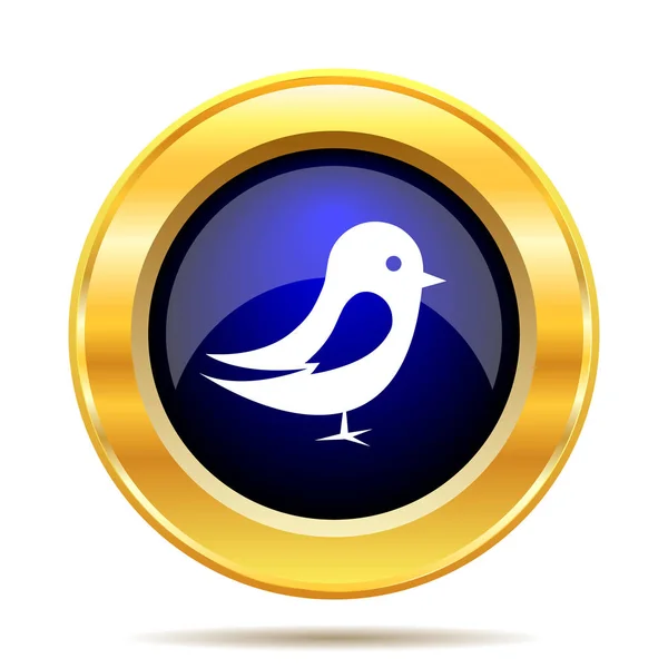Icono Pájaro Botón Internet Sobre Fondo Blanco — Foto de Stock