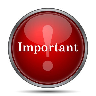 Önemli simgesi. Beyaz arka plan üzerinde Internet düğmesi