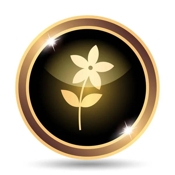 花のアイコン 白い背景の上のインター ネット ボタン — ストック写真