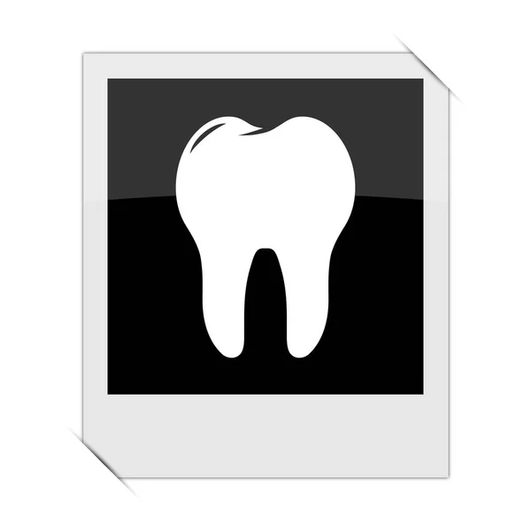 Ząb Obrębie Fotografii Białym Tle — Zdjęcie stockowe