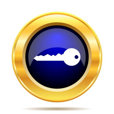 Anahtar simgesi. Beyaz arka plan üzerinde Internet düğmesi