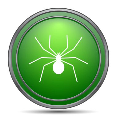 örümcek simgesi